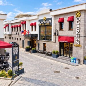 Blackhan-Palace-Hotel11.54.45 (4)