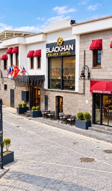 Blackhan-Palace-Hotel11.54.45 (4)