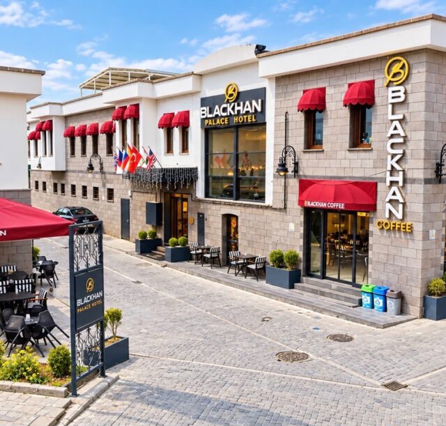 Blackhan-Palace-Hotel11.54.45 (4)
